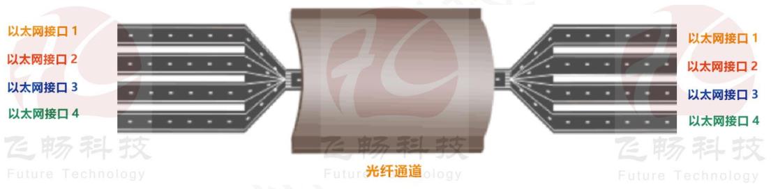 逻辑隔离网络香蕉视频污在线观看