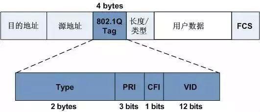 香蕉视频看毛片的VLAN技术