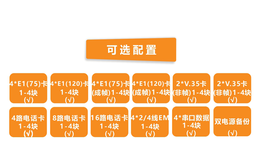 大香蕉视频在线观看科技-模块化多业务  TDM Over IP  电路仿真网关